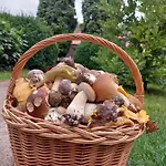U Beti 2 Wąglikowice