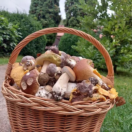 U Beti 2 Wąglikowice